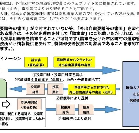 郵便投票